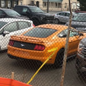 Meet your Posher, Devon